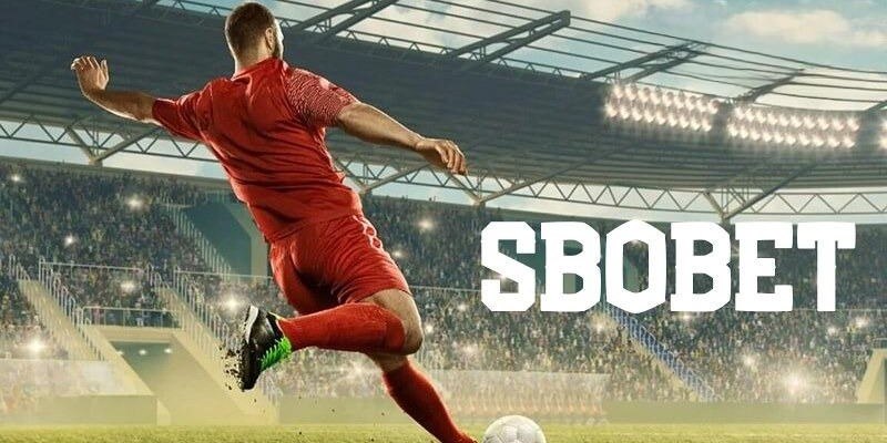 ku11 đăng nhập mậu binh uy tín