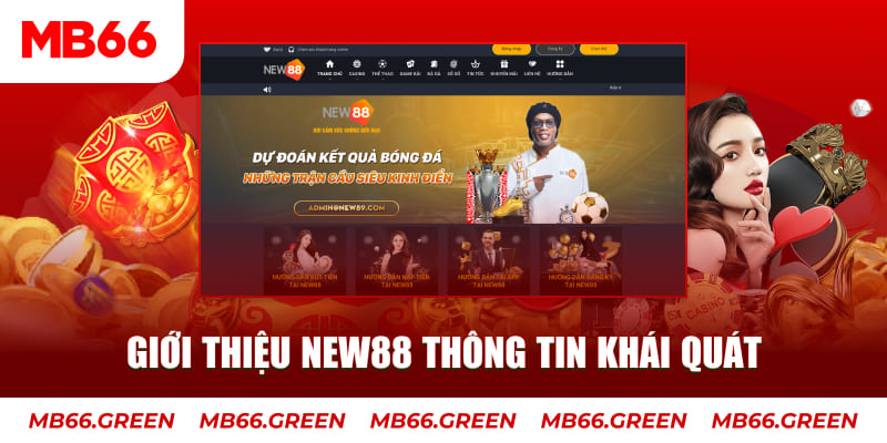ku11 c1 gà chọi