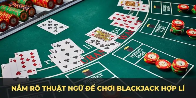 ku11 esport la gì