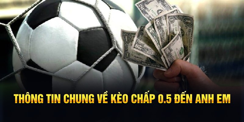 ku11 nổ hũ b29 là gì