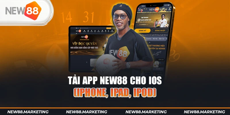 ku11 gà chọi cậu thanh