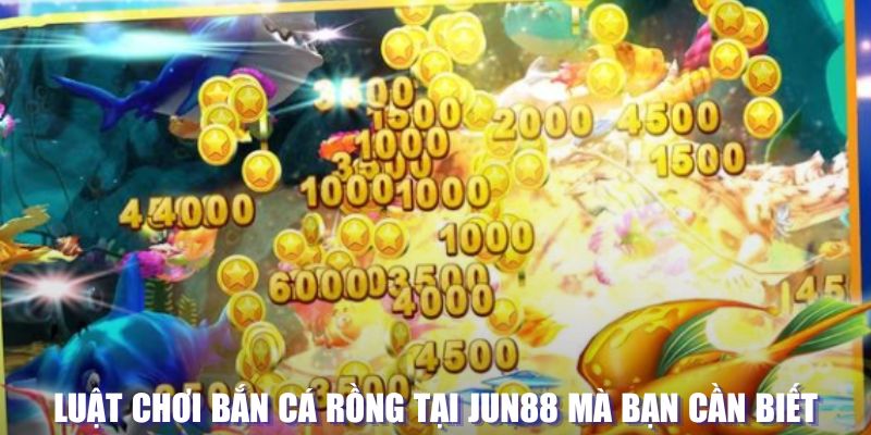 ku11 xổ số đài hà nội