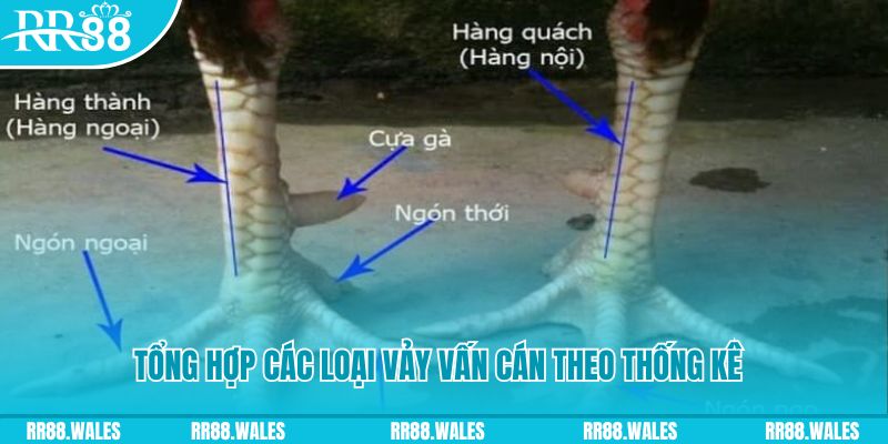 ku11 casino hồ tràm có cho người việt vào không