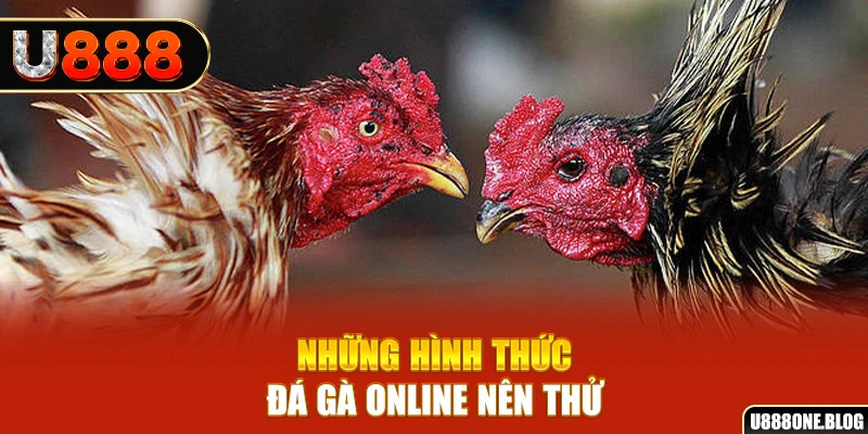 ku11 nổ hũ ai là gì