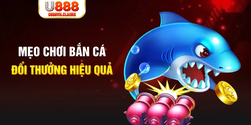 ku11 gà chọi cam ranh