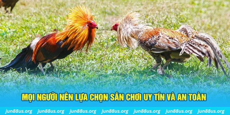 ku11 Cỡ bảy