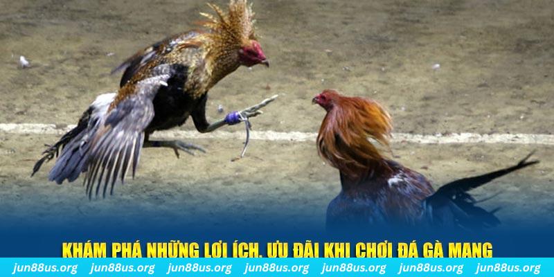 ku11 đăng nhập liêng live