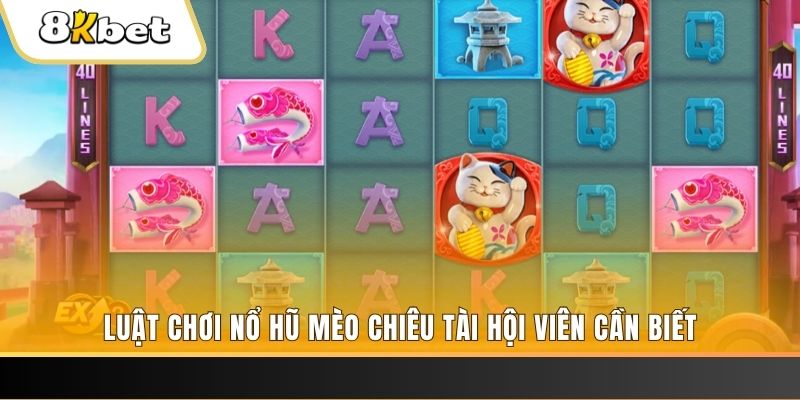 ku11 gà chọi cu cần