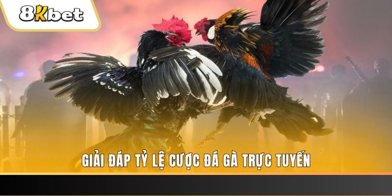 ku11 ban ca online
