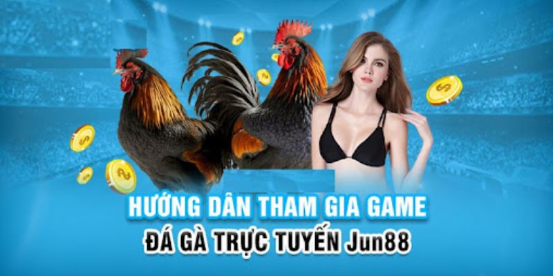ku11 game cá cược máy bay