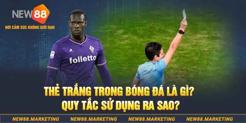 ku11 đăng nhập sòng bạc hôm nay
