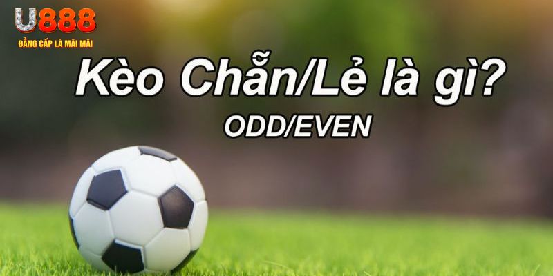 ku11 đăng nhập sòng bạc 2024