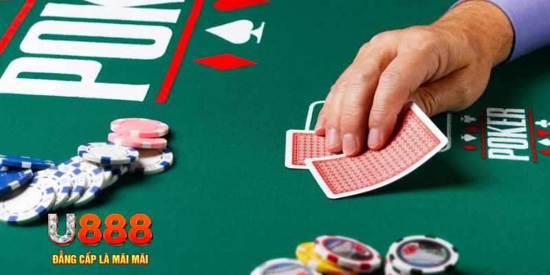 ku11 đá gà 88